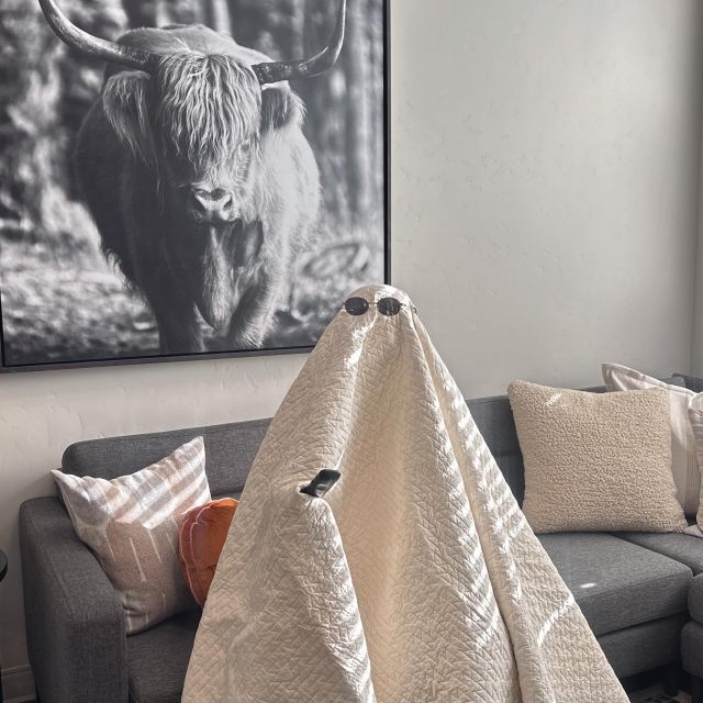 The winds are shifting...and they are pointing straight to VERVE. Don’t fight it, your future home awaits 🌬️🙃🤩

#VERVEBoise #boisestate #studenthousing #apartment