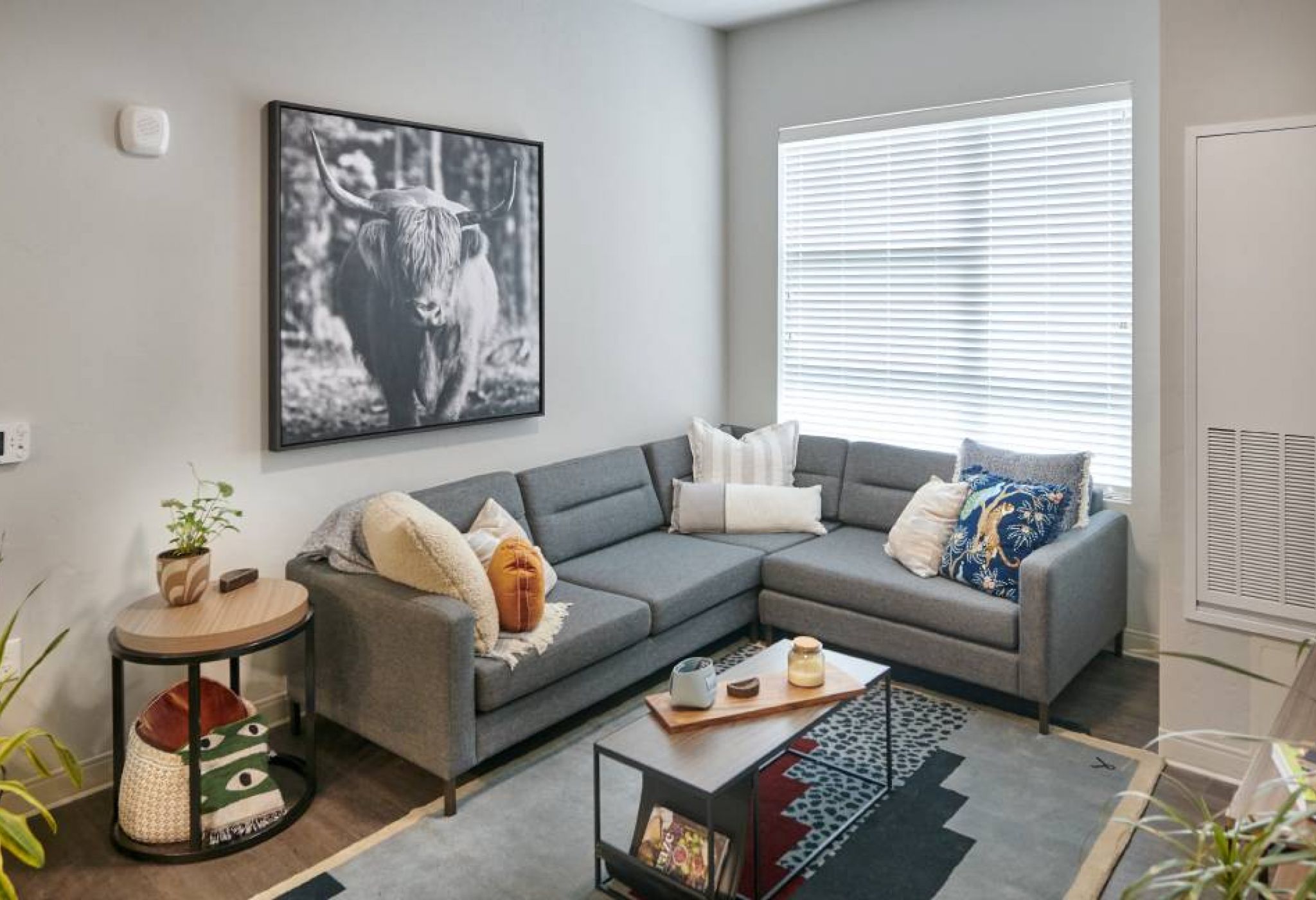 A cozy living room in VERVE Boise featuring a grey sectional sofa, a large framed bull print, and modern decor accents.