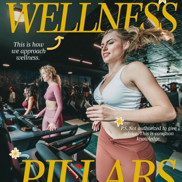 We’re so excited to officially launch the VERVE Wellness Series!!!!🪴💪🏋️

Wellness shouldn’t feel like another thing on your to-do list, it should fit right into your everyday life. That’s why we’re bringing wellness straight to your Resident App 📱🤳

With on-demand classes, helpful content, and resources designed to meet you where you are, whenever you need them.

And we’re just getting started 🤩 Stay tuned each month for:

✨Wellness tips & tricks
🎁Fun giveaways
🧘New classes & resources
💙Challenges, events, and so much more!

Your best semester starts with taking care of you. Let’s make wellness part of the routine. 🙌

#VERVEBoise #boisestate #studenthousing #apartment #WellnessSeries